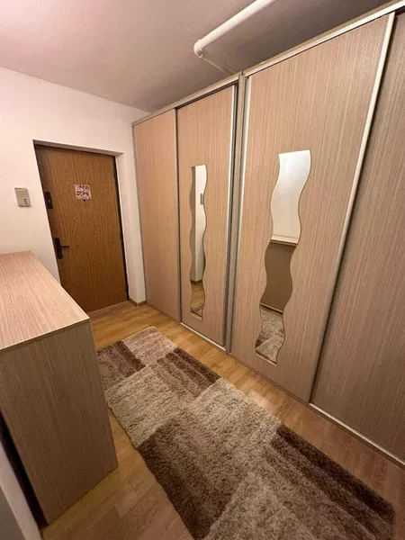 Teiul Doamnei x Colentina - aproape de sectia 7 de politie - SUPER OFERTA!