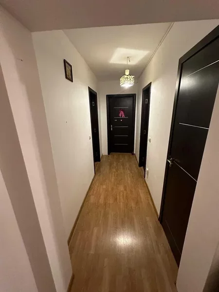 Teiul Doamnei x Colentina - aproape de sectia 7 de politie - SUPER OFERTA!